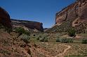 Canyon_de_Chelly_20080607_320