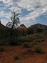 Sedona_Biking_0286